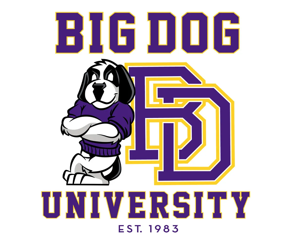 Bd University Purple Gold T-shirt