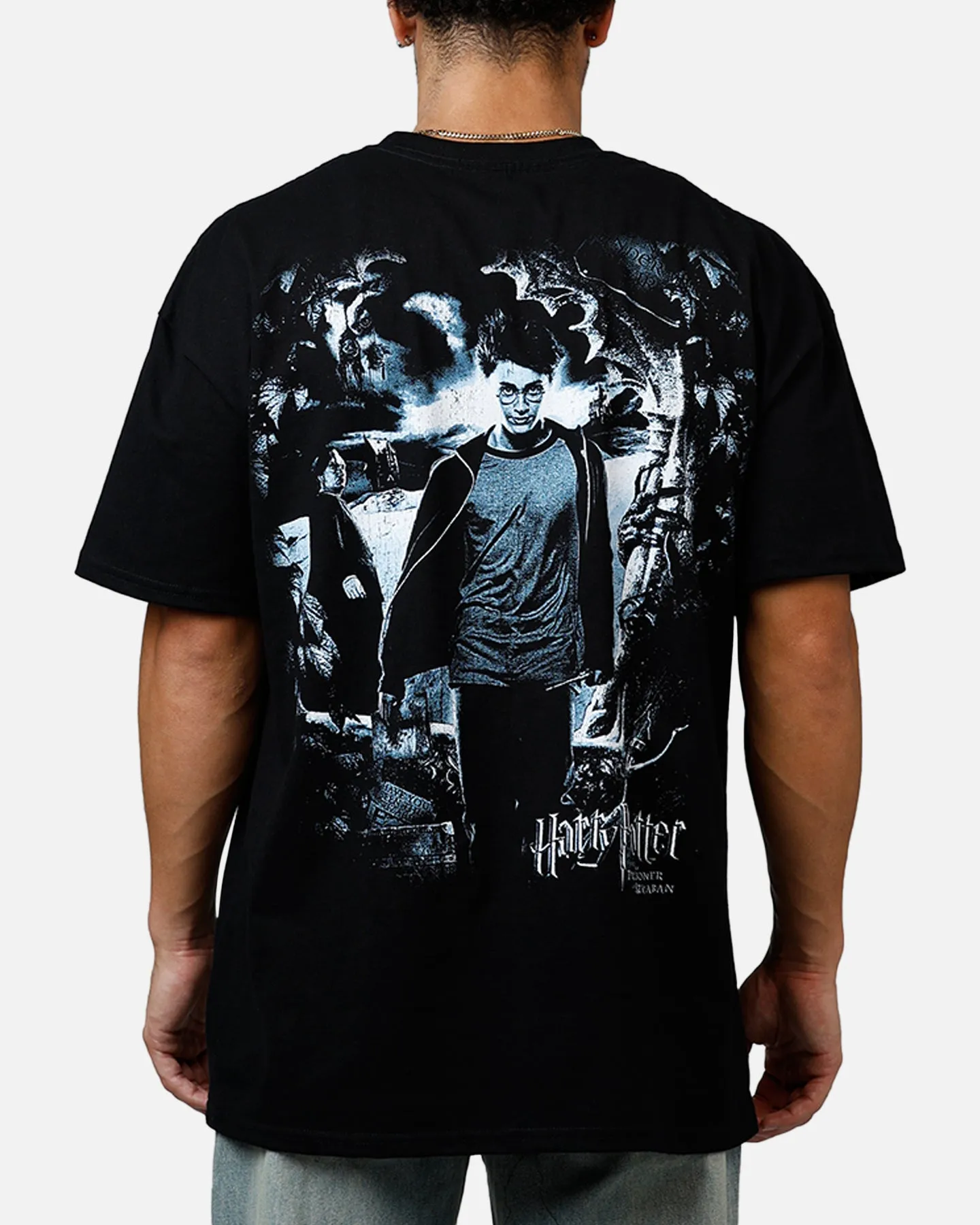 Goat Crew X Harry Potter Heavyweight T-Shirt Black